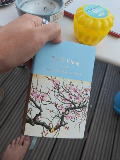 A personal copy of Tao Te Ching by Lao Tzu, translated by David Hinton, held during a reading session.